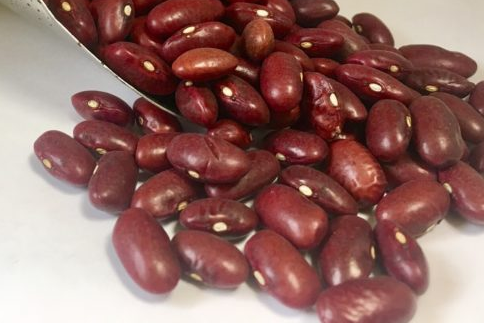 Alimento Alubia morada ecológica - imagen