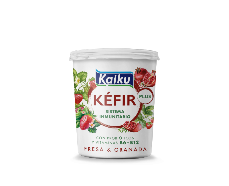 Alimento Leche fermentada con fresa, granada y vitamina B6 y B12 - imagen