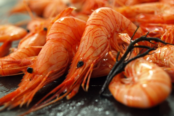 Alimento Camarón de la ría crudo/cocido - imagen