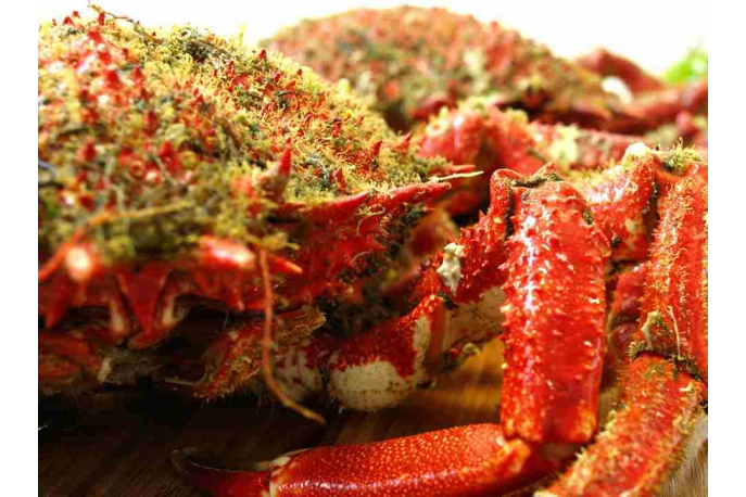 Alimento Centolla de la ría (bruño) - imagen