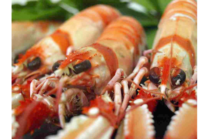 Alimento Cigala - imagen