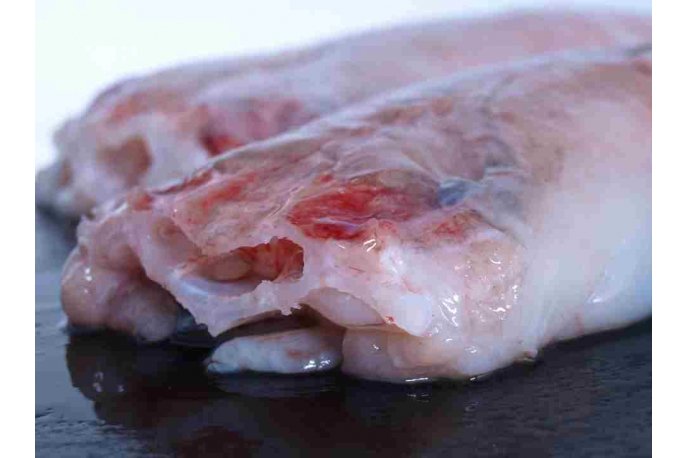 Alimento Rape negro, cola - imagen